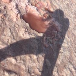 Fundraising Page Image